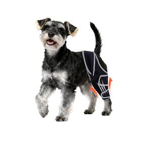 Dogkneebrace097-1 Yinchogee Dog Knee Brace For Torn Acl Hind Leg Four-leg Universal Rear Braces
