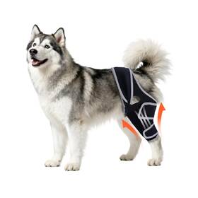 Dogkneebrace097-5 Yinchogee Dog Knee Brace For Torn Acl Hind Leg Four-leg Universal Rear Braces