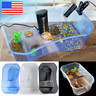 Yll878561 Reptile Turtle Tortoise Vivarium Box Aquarium Tank With Basking Ramp