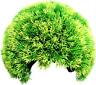 Ym-7225l Poppy Pet Moss Cave Hideout 080687830381
