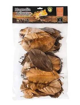 Yoeyang 759834051503 Galapagos Magnolia Leaves For Terrariums 4 Qt
