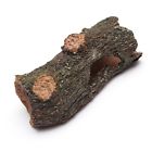 Yoko2 Wood Trunk Fish Gecko