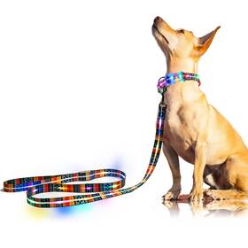 Yushang 635405352401 Light Up Dog Leash - 3 Lighting Modes Led Rechargeable 5 Ft