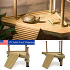 Yvo3478648 Unbranded Reptile Turtle Frog Pier Floating Platform Basking Ramp Ladder