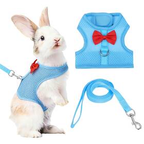 Zaplyte 683007493251 Rabbit Harness And Leash Small Pet Cute Vest M Sky Blue