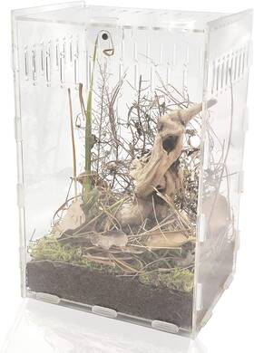 Zehee 445046735715 12x8x6 Inch Magnetic Acrylic Reptile Case Vertical Transparent Tarantula Enclo