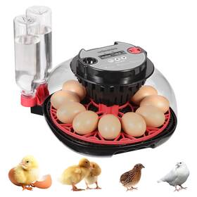 Kca0024 Zemiro Charge 12 Egg Incubator With Automatic Turning Humidity Control Led Candler A Kca0024 Zemiro Charge 12 Egg Incubator With Automatic Turning Humidity Control Led Candler A