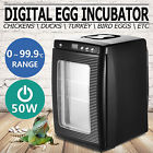 Zgc54009 Vevor Comerciales Reptile Egg