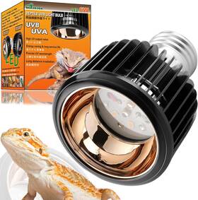 Xz-uvb10.0x Zhongshan Banbo Lighting Electric Co. Ltd. Anjojoa Uvb Reptile Light Bulb Led Uva Full Spectrum Daylight High Uv