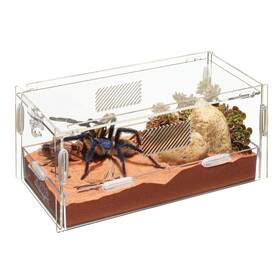 Zilla 096316001541 Micro Habitat Terrariums With Locking Latch Terrestrial Small