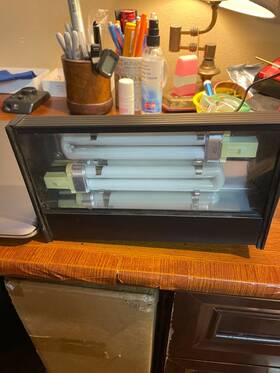 56744 Zilla Reptile Light Used But Works Great With A Dragon