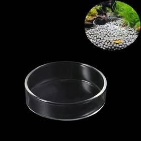 Zohiky 777989034684 Bilindasly 1pcs Aquarium Shrimp Feeding Dish Glass Round Fish Feeder Bowl Re