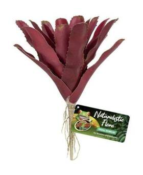 Bu-60 Zoo Med Fireball Bromeliad Black