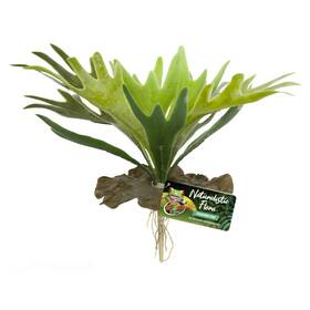 Bu-65 Zoo Med Naturalistic Flora Staghorn Fern Terrarium Plant Green