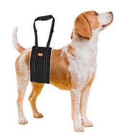 Zoonimal 198715607529 Adjustable Dog Lift Harness Large Sling For Back Legs Carrier