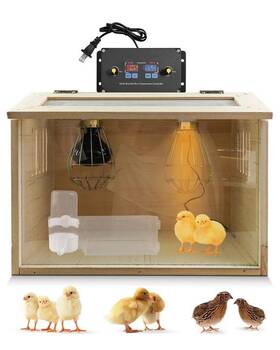 Staictbb0418 Zxwatc Chick Brooder Box With Intelligent Temperature Control 75w Day And Night Heat