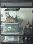 Thrive 30 Gallon Reptile Terrarium Kit, Decorations And Cleaning Tools. Fixed Price $100.00.