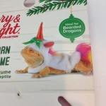Merry & Bright Unocorn Bearded Dragon Reptile Hoodie Costumes Adjustable. Fixed Price $7.25.
