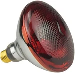 Bongbada Pack 250W Heat Infrared Bulbs Heavy Duty PAR38 Glass Lamp.... Fixed Price $32.99.