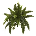 Nearly Natural 14 Boston Fern Artificial Plant Home Office Decoration Set 6. Fixed Price $84.08.