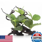 Aqua Kt Reptile Terrarium Forest Tree Plant Leaves Amphibian Habitat Dcor. Fixed Price $34.42.
