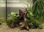 Aquarium Terrarium Organic Tree Root Cave. Fixed Price $23.99.
