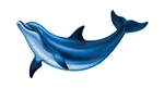 Bottlenose Dolphin Porcelain Swimming Pool Mosaic (36" X 18"). Fixed Price $454.69.