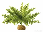 Exo Terra Boston Fern. Fixed Price $14.69.