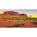 Awert 30X12 Inches Reptile Habitat Background Sky Oasis Mountain Cactus Sun A.... Fixed Price $17.09.