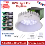 Uvb Light For Reptiles, Uva Fixture With Timer Led Bulb. Fixed Price $42.54.