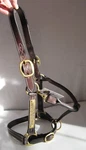 Gatsby Leather Company 201-4 Halter Classic Adjustable Award Plated. Fixed Price $45.00.