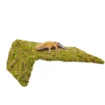 Leopard Gecko Tank Accessories Adjustable Climbing Wall Toys Terrarium Decor. Fixed Price $18.99.