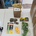 Zoo Med BU-12 Congo Ivy, CT-51 Cholla & Exo Terra PT2860 Skull Hide Lot. Fixed Price $16.00.