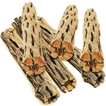 Sungrow Leopard Gecko Cholla Wood, 5 Long, Create Inches, Brown. Fixed Price $20.73.
