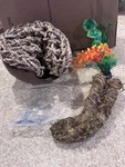 Runania Hernit Crab Tank Supplies. New In Bubble Wrap. Comes With Plants. Fixed Price $10.00.
