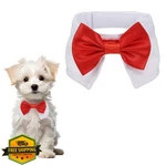 Petaxcell Dog Bow Tie Bright Red Cotton, Adjustable Collar Tuxedo. Fixed Price $20.00.