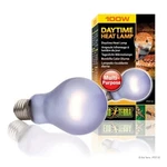 Exo Terra Daytime Heat Lamp A21 100 Watt PT-2112. Fixed Price $10.99.