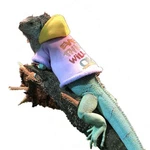 Lizard Clothes Bearded Dragon Hoodie Cotton Reptile Apparel Skin Protection. Fixed Price $13.64.