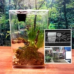 Lizard Frog Pet Snake Terrarium Lives Tank Acrylic Clear Reptile Enclosure Cage. Fixed Price $28.81.