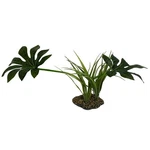 Komodo Jungle Canopy Plant 1 Each / 42 Cm By. Fixed Price $17.43.