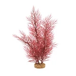 Fluval Aqualife Scarlet Eichornea Plant 14 Inch. Fixed Price $20.99.