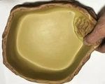 Exo Terra Water Dish X-large. Fixed Price $35.99.