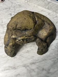 Exo Terra Reptile Cave Natural Hiding Place Xxlarge. Fixed Price $29.99.