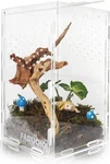 Jumping Spider Enclosure - Acrylic Small Reptile Terrarium For Tarantula, Frog,.. Fixed Price $18.49.