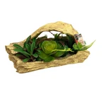 Thrive Habitat Decor Terrarium Driftwood Succulent Plant Resin Reptile Enclosure. Fixed Price $39.99.