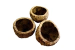 Ourico (brazil Nut Pod). Fixed Price $7.22.