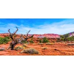 Awert 30X12 Inches Reptile Habitat Background Blue Sky Oasis Orange Desert Te.... Fixed Price $13.64.