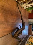 Prime Driftwood Fish Aquariums Decor Stump Natural Reptile Tank Medium. Fixed Price $10.00.
