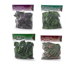Fluker's Repta-vines Terrarium Plant Red, Purple Coleus, Pothos, Ivy 6 Ft. Fixed Price $16.95.
