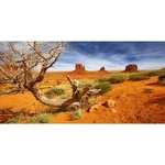 Awert 30X12 Inches Reptile Habitat Background Orange Desert Terrarium Backgro.... Fixed Price $13.64.
